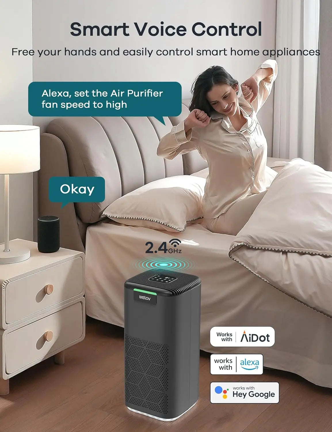 Air Purifiers for Home Large Room